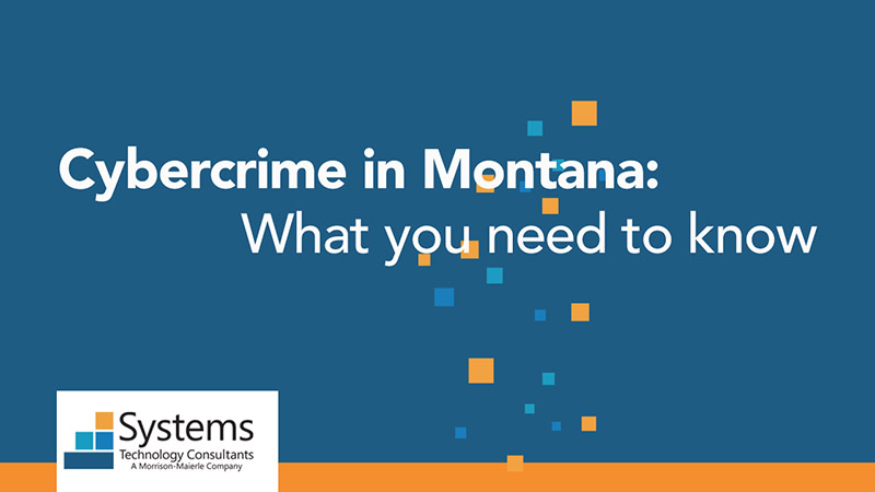 Thumbnail Cybercrime in Montana copy